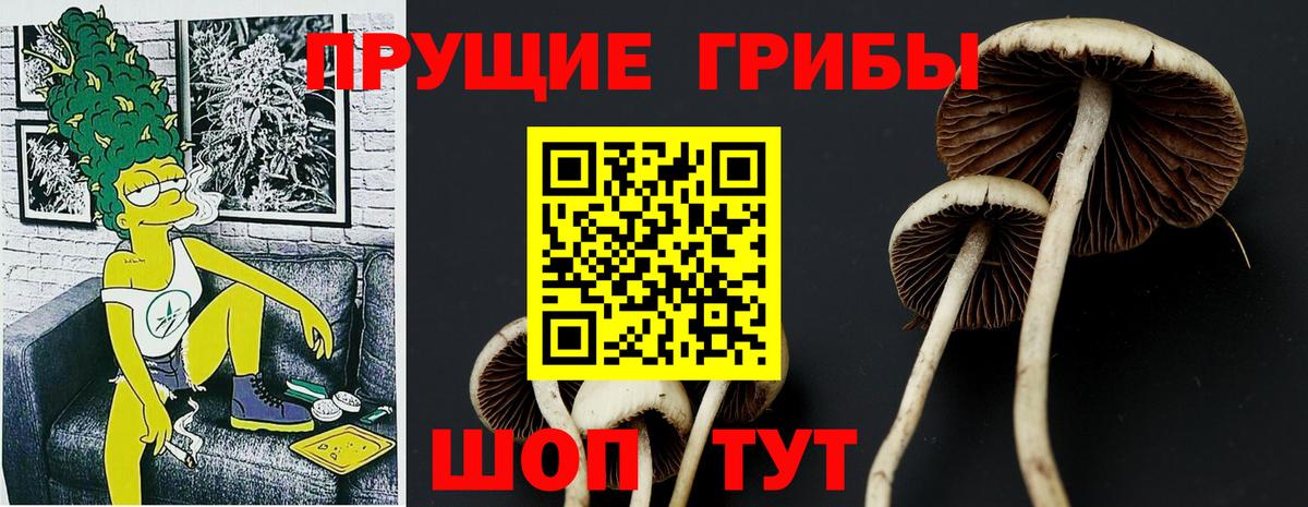 Галлюциногенные грибы MAGIC MUSHROOMS  Вход с VPN  Елабуга  Псилоцибиновые грибы мухоморы 